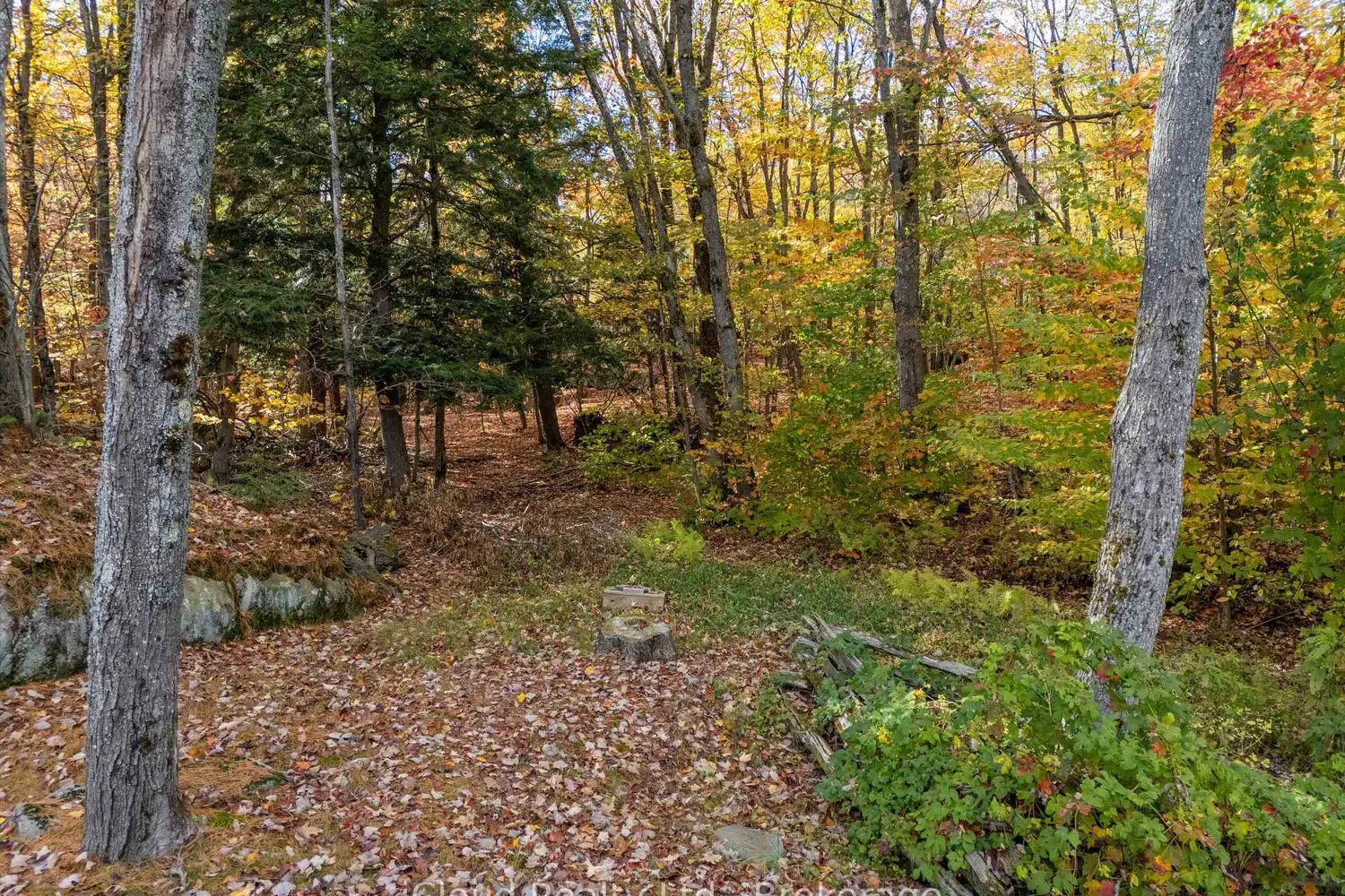 Additional image 20 of 6 Springhill Road