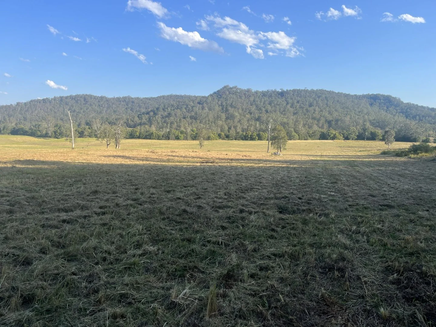 Additional image 4 of 2374 Upper Mongogarie Road, Upper Mongogarie NSW 2470