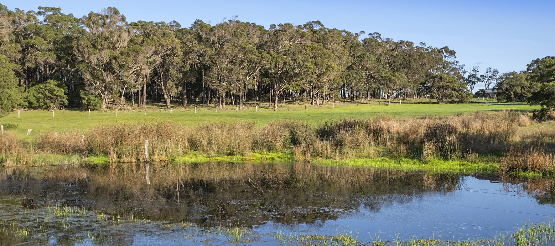 Additional image 20 of Stage 1A Blackwood Grove, Kudardup WA 6290