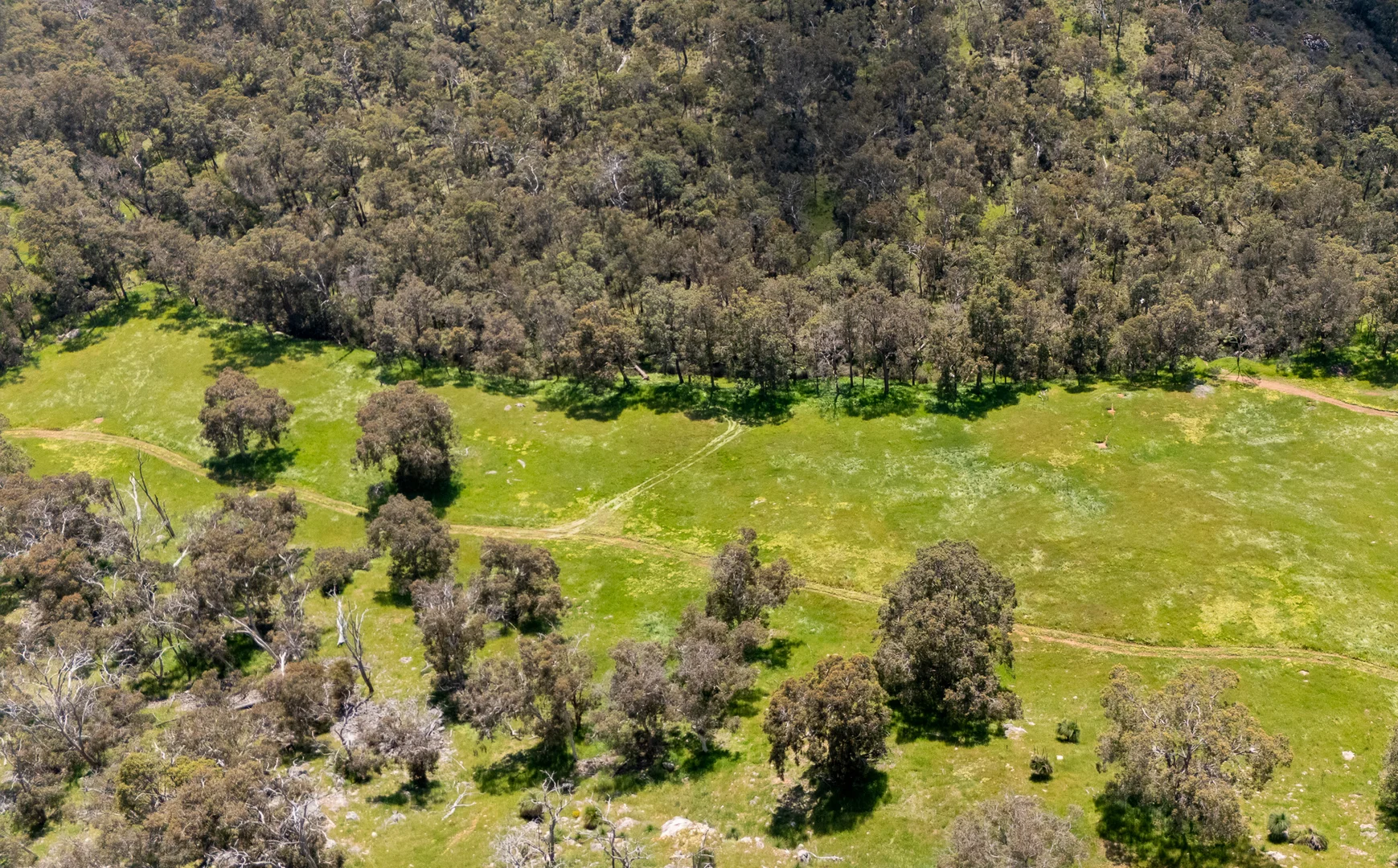 Additional image 4 of North Dandalup WA 6207