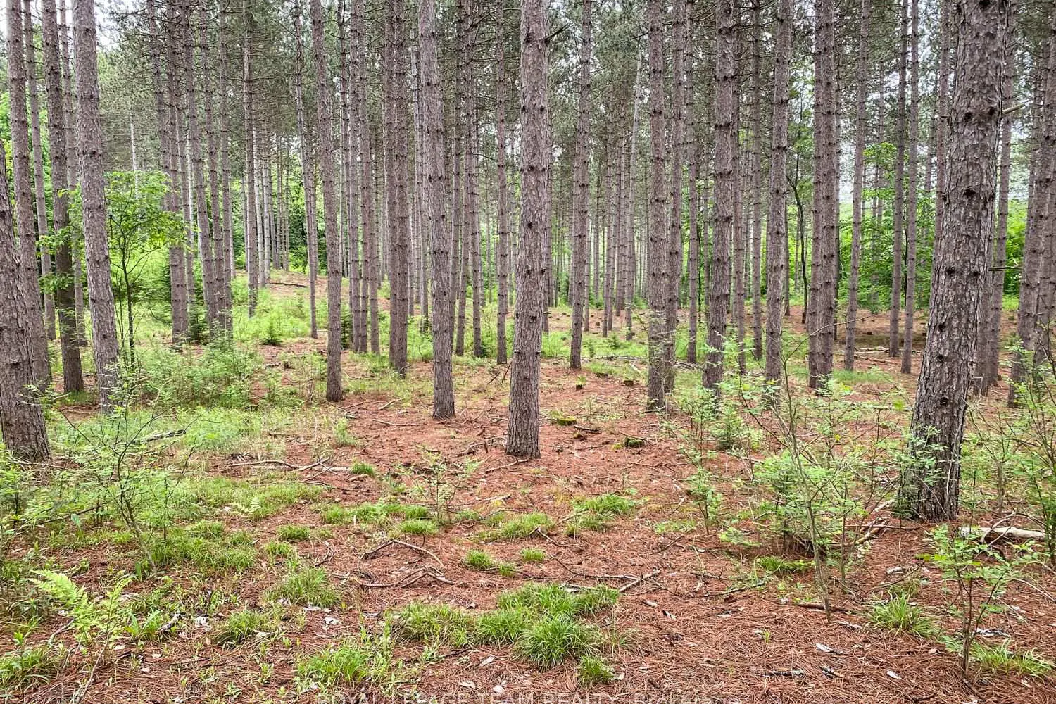 Additional image 10 of 1477 Watsons Corners Road