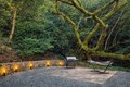 Additional image 60 of 5603 Crow Canyon Rd, Castro Valley, CA, 94552