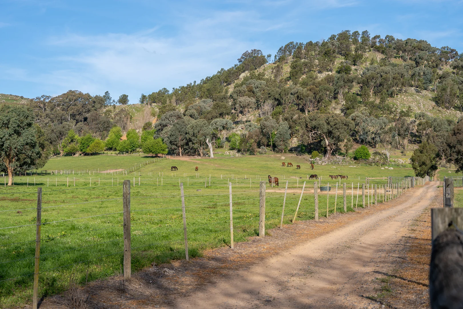 Additional image 41 of 304 Sheans Creek Road, Sheans Creek VIC 3666