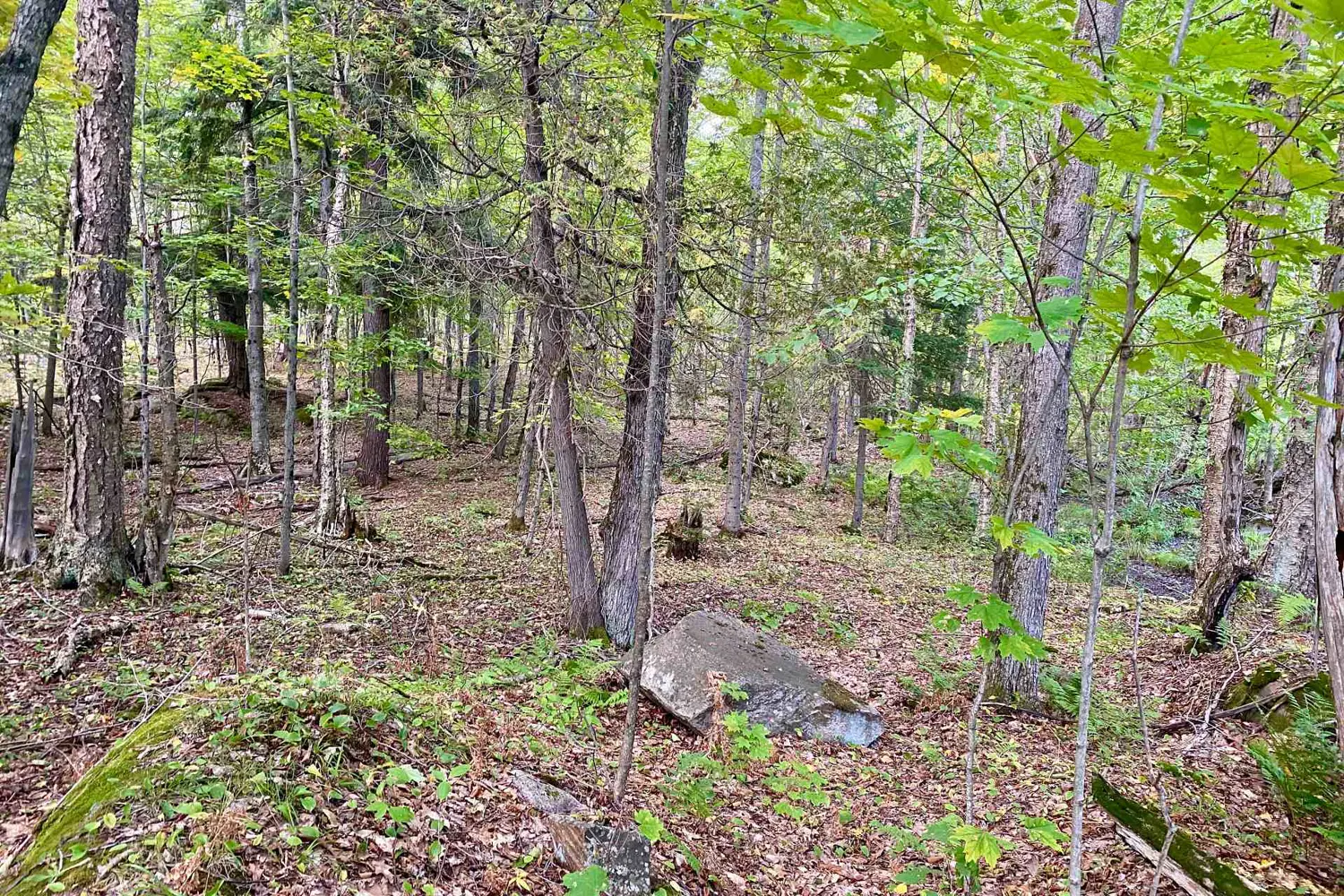 Additional image 9 of 0 Clear Lake Road