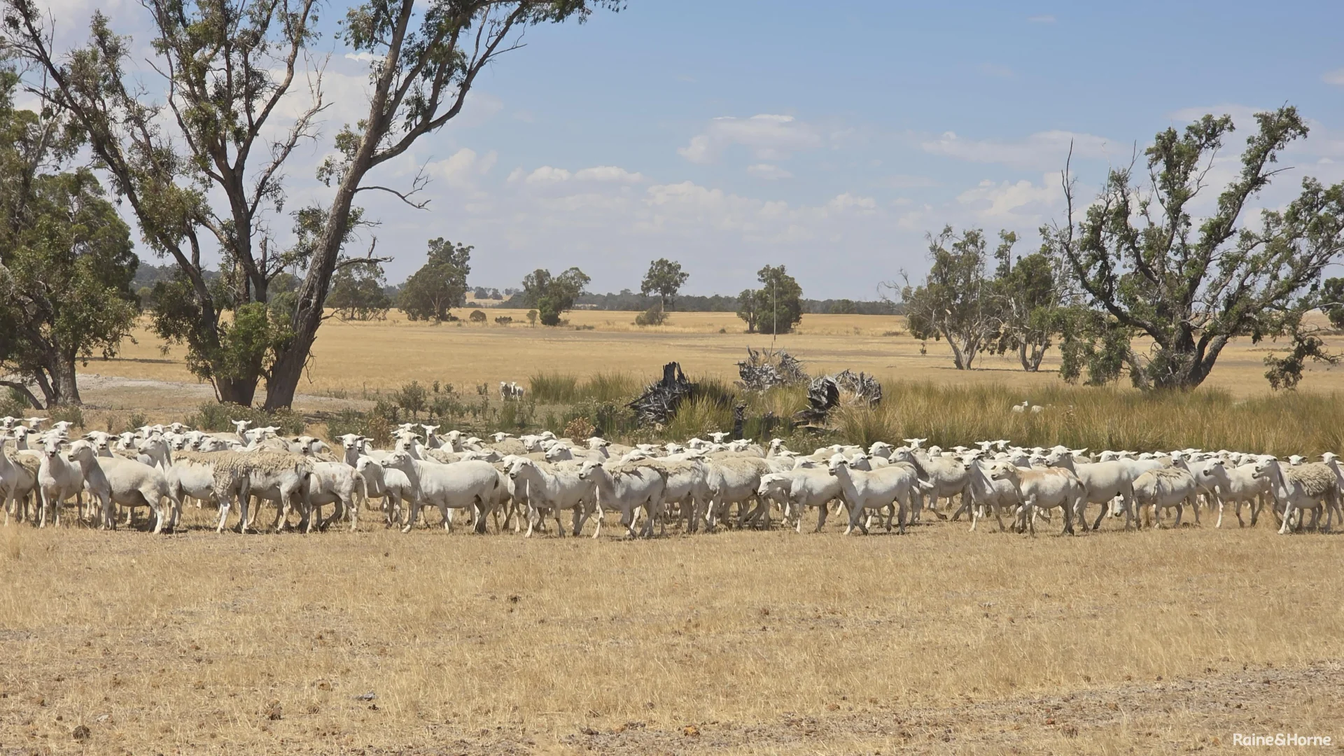 Additional image 32 of 1128 Bokal Road South, Mokup WA 6394