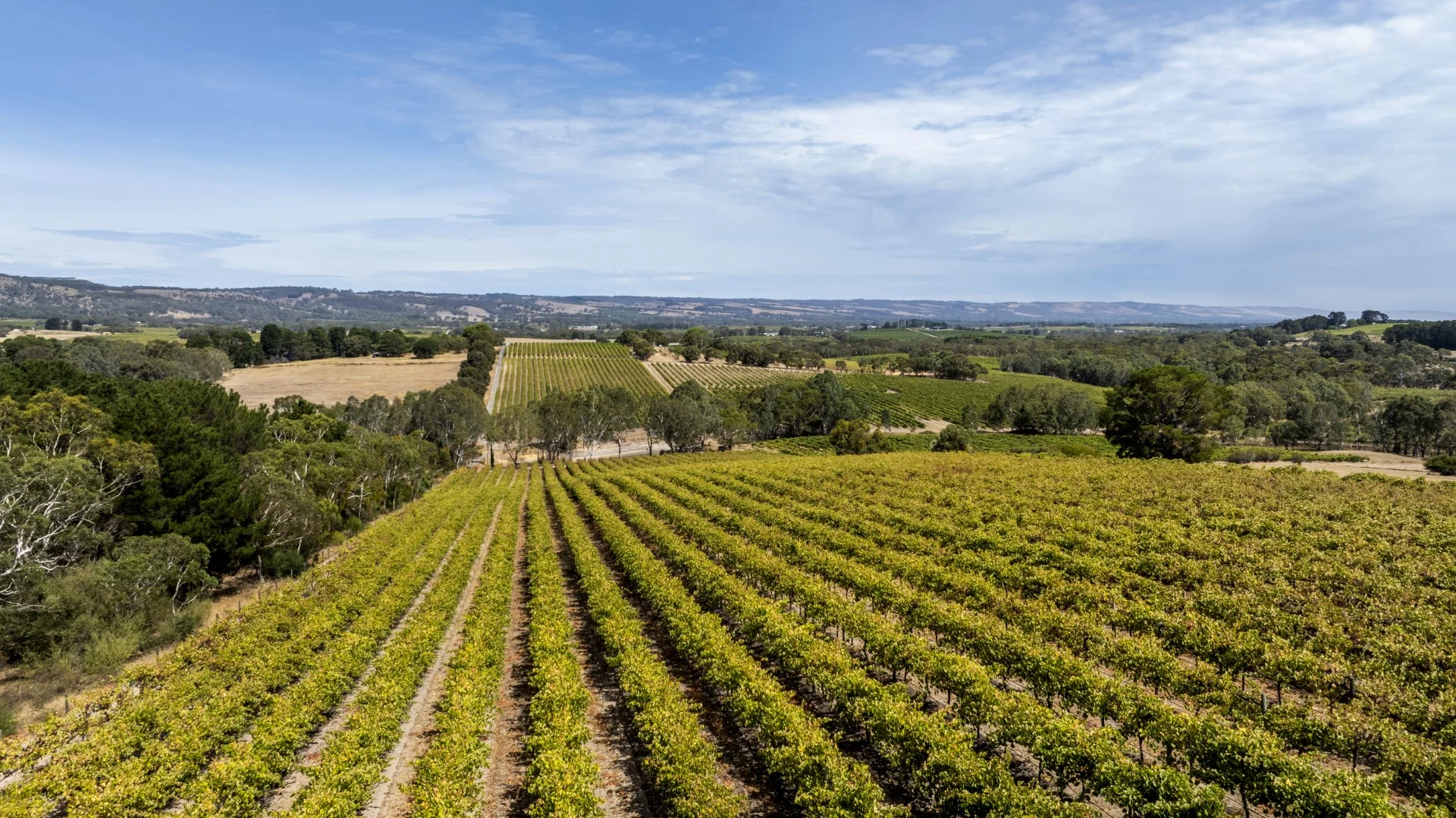 Additional image 30 of 330 Moritz Road, Blewitt Springs SA 5171