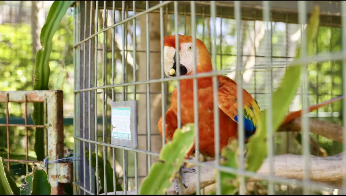 Additional image 24 of 21 Baines Road, Pilton QLD 4361