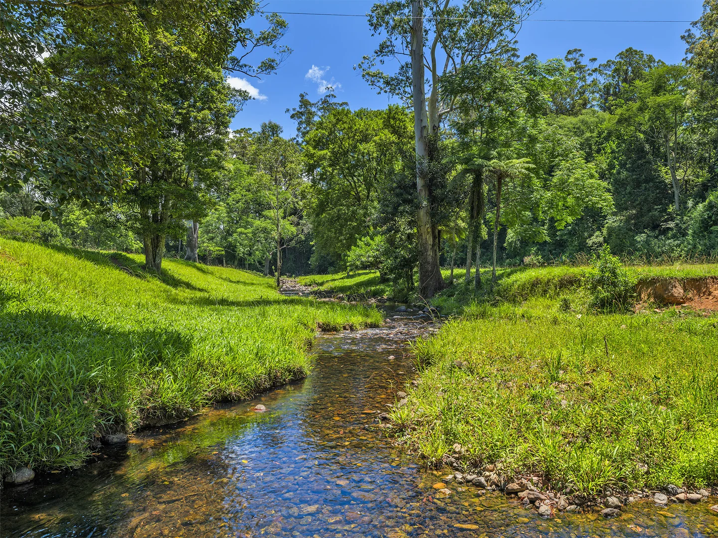 Additional image 29 of 650 Darkwood Road, Thora NSW 2454