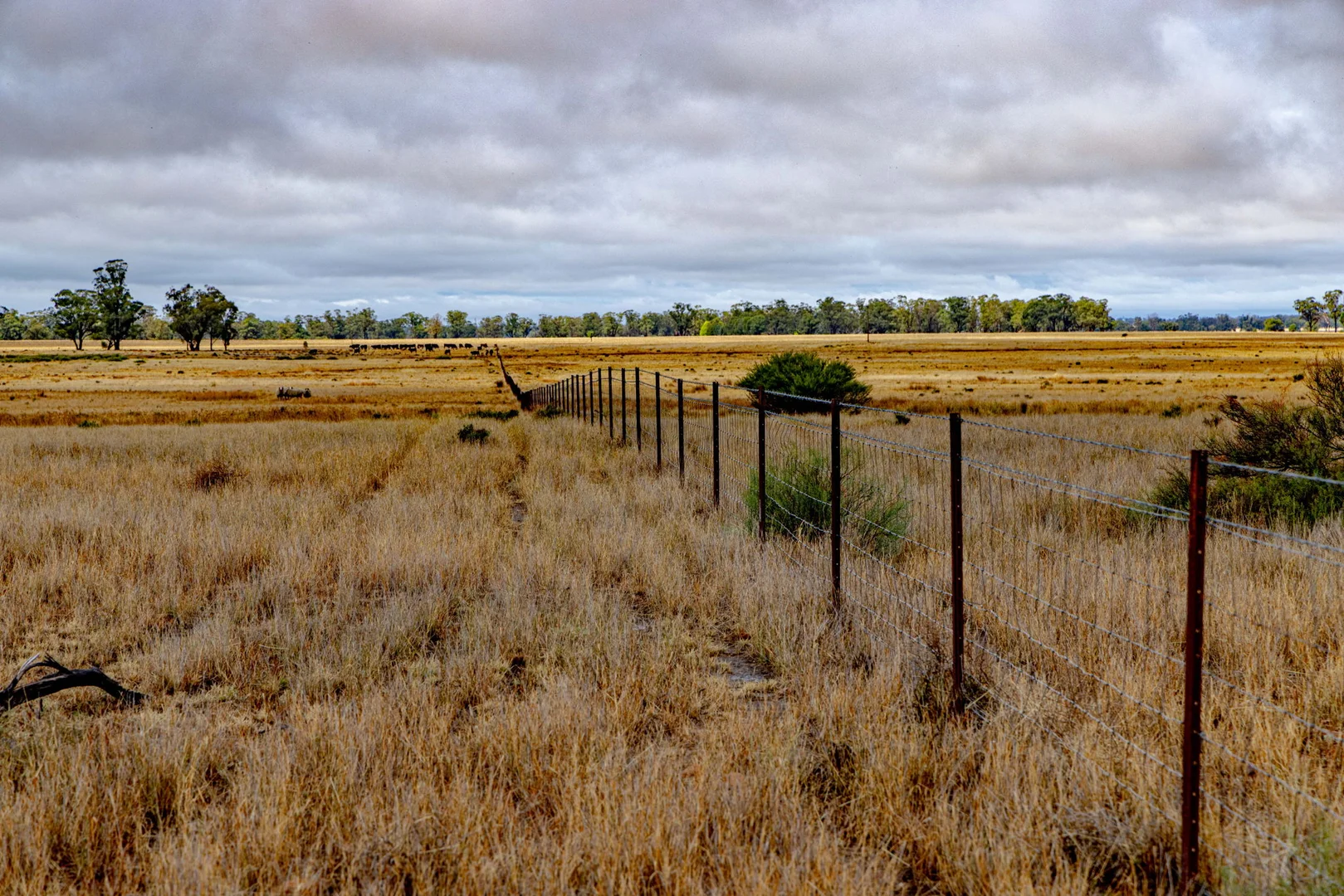 Additional image 3 of 'Woroona' & 'Tralee' 936 Boorr Hill Road, Parkes NSW 2870