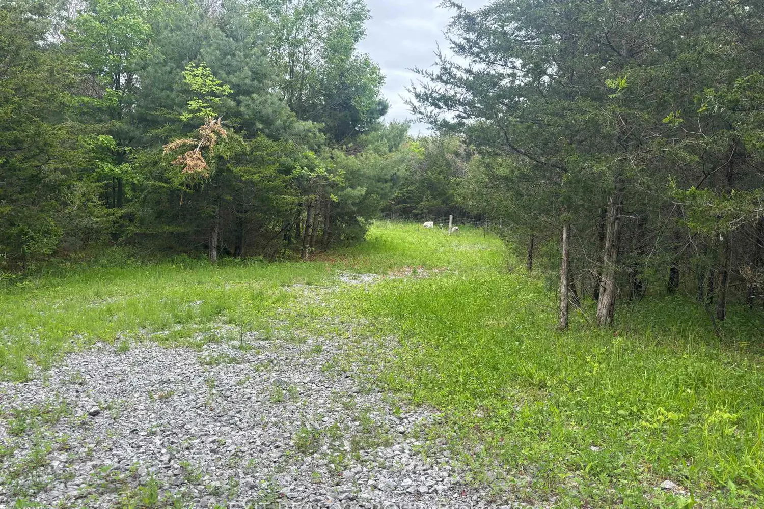 Additional image 2 of 262 Johnston Road