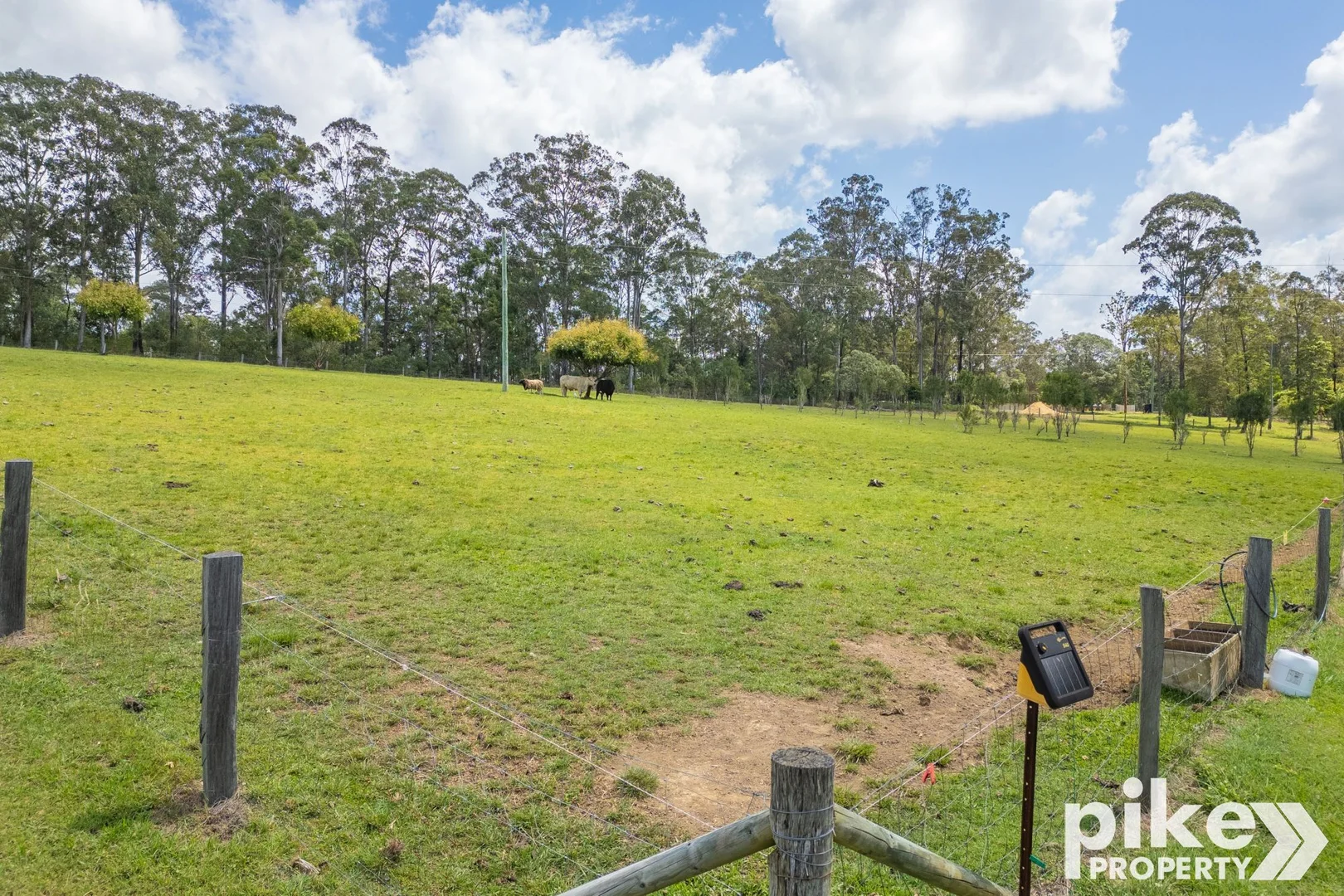Additional image 39 of 116 W Lindsay Road, Wamuran QLD 4512