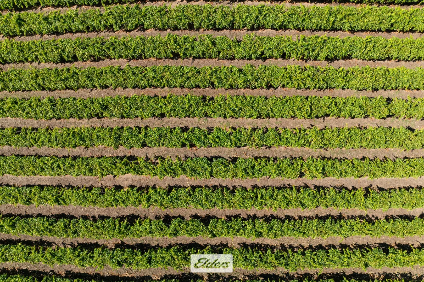 Additional image 36 of 388 Gol Gol North Road, Gol Gol NSW 2738