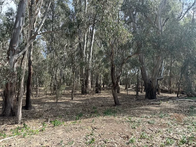 Additional image 11 of 456 RIVER ROAD, Gonn Crossing VIC 3579