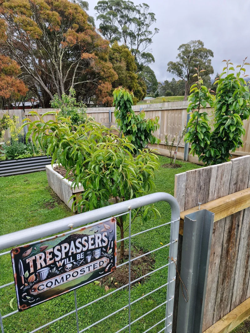 Additional image 6 of 41 Gray Road, St Marys TAS 7215