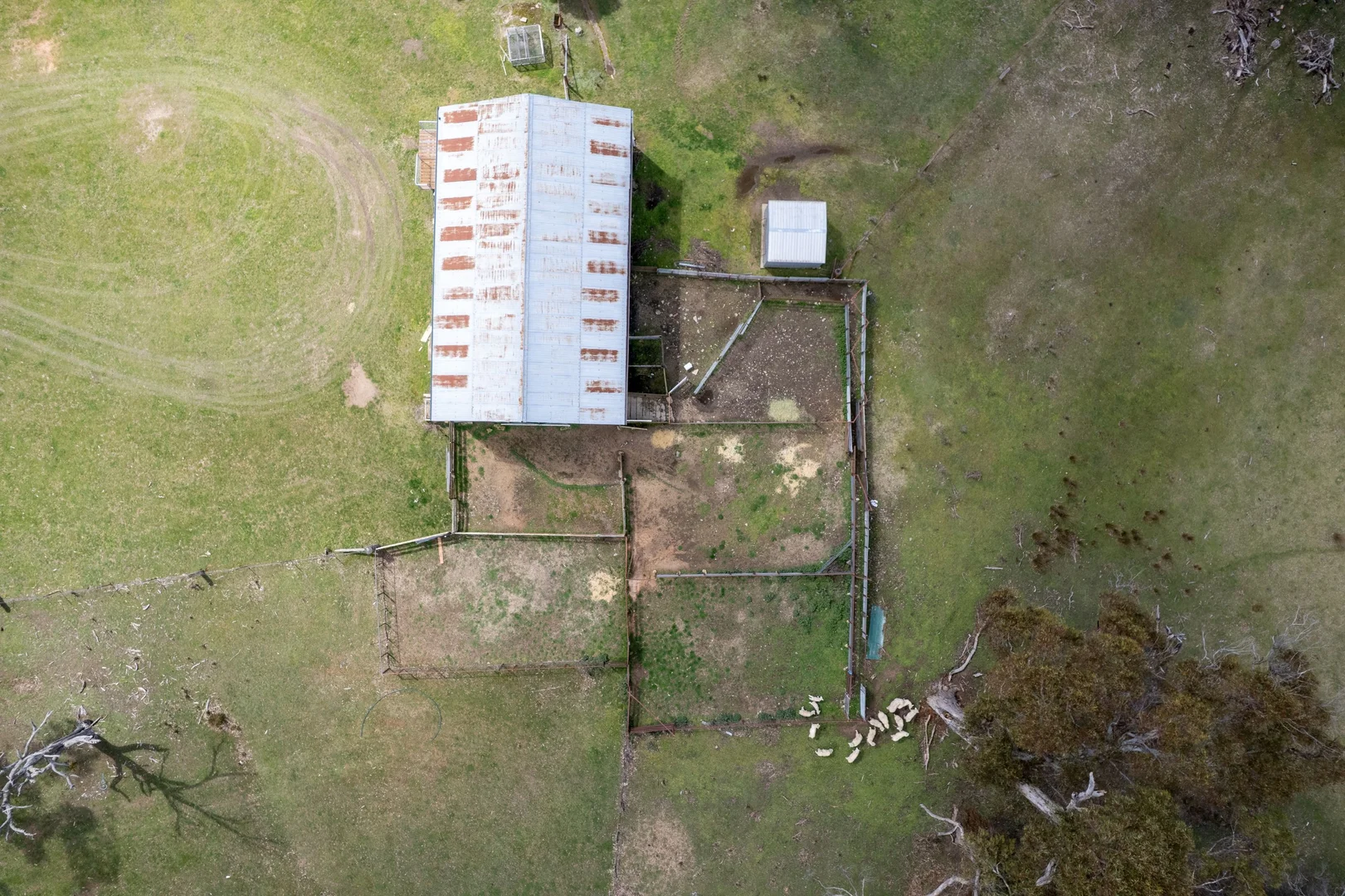 Additional image 16 of 6906 Boorowa Road, Lost River NSW 2583