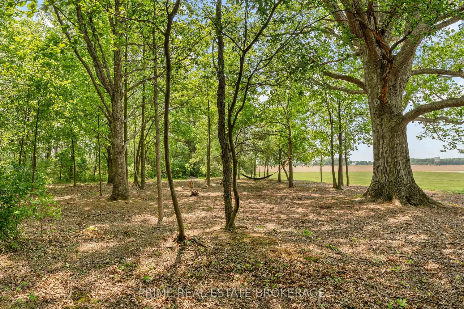 Additional image 20 of 818 Oil Heritage Road