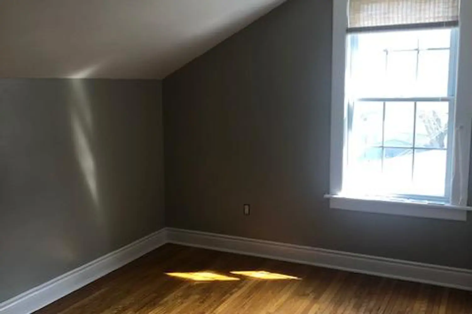 Additional image 13 of 338 Smith Street