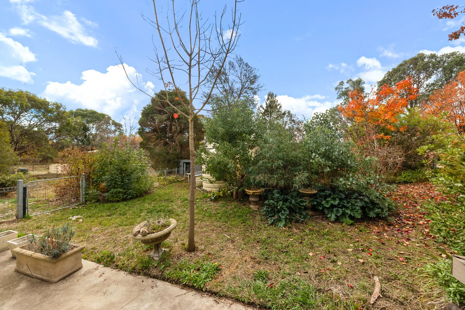 Additional image 21 of 1 Rosamel Street, Gundaroo NSW 2620