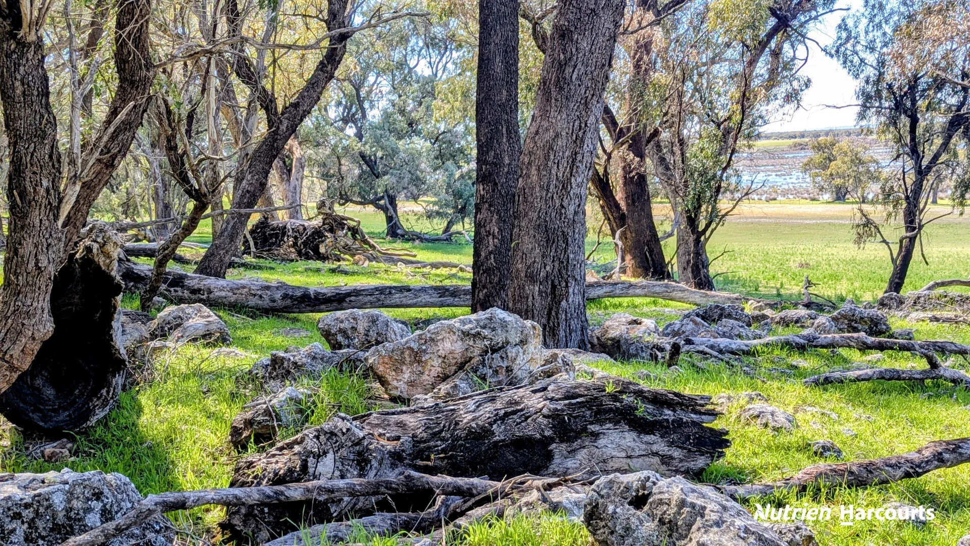 Additional image 38 of Lot 53 Cowalla Road, Cowalla WA 6503