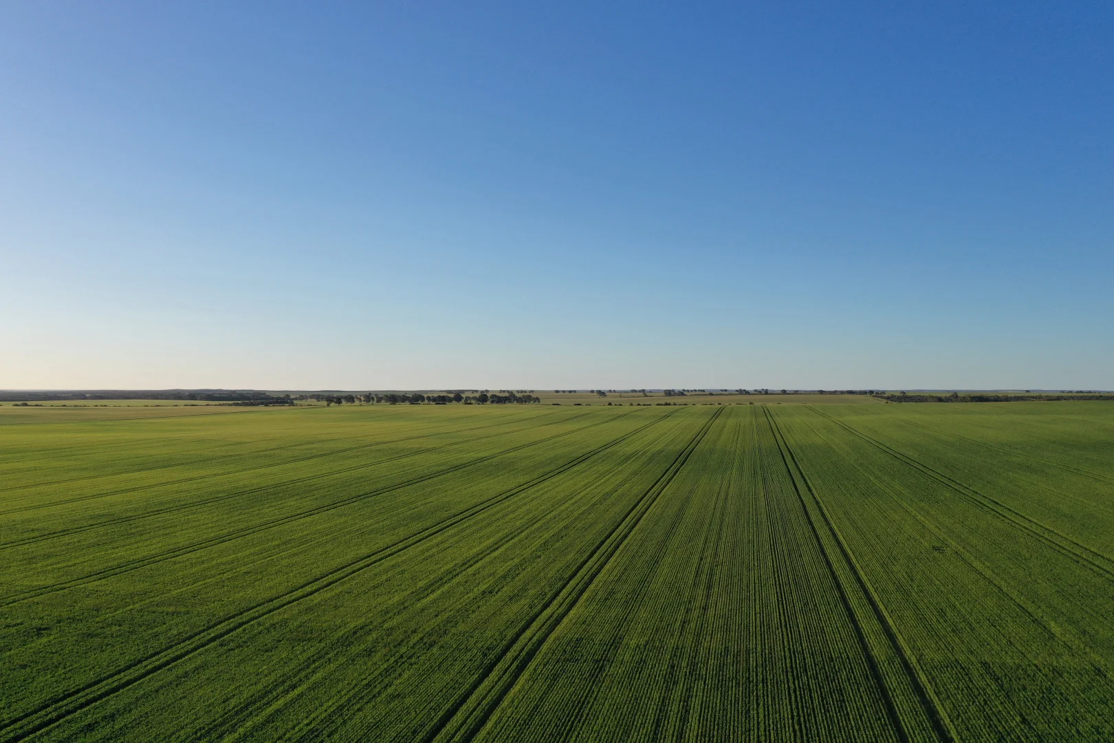 Additional image 24 of Midlands Road, Marchagee WA 6515