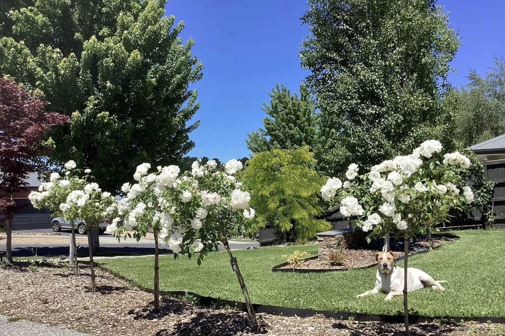 Additional image 3 of 32 Mulgutherie Way, Gisborne VIC 3437