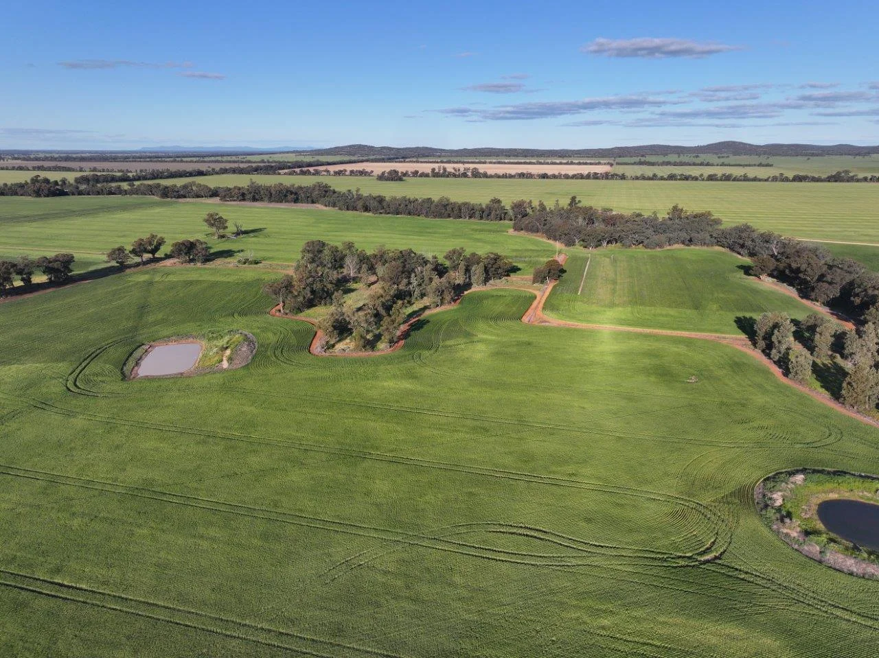 Additional image 2 of Part Westbury Goldfields Way, Barmedman NSW 2668