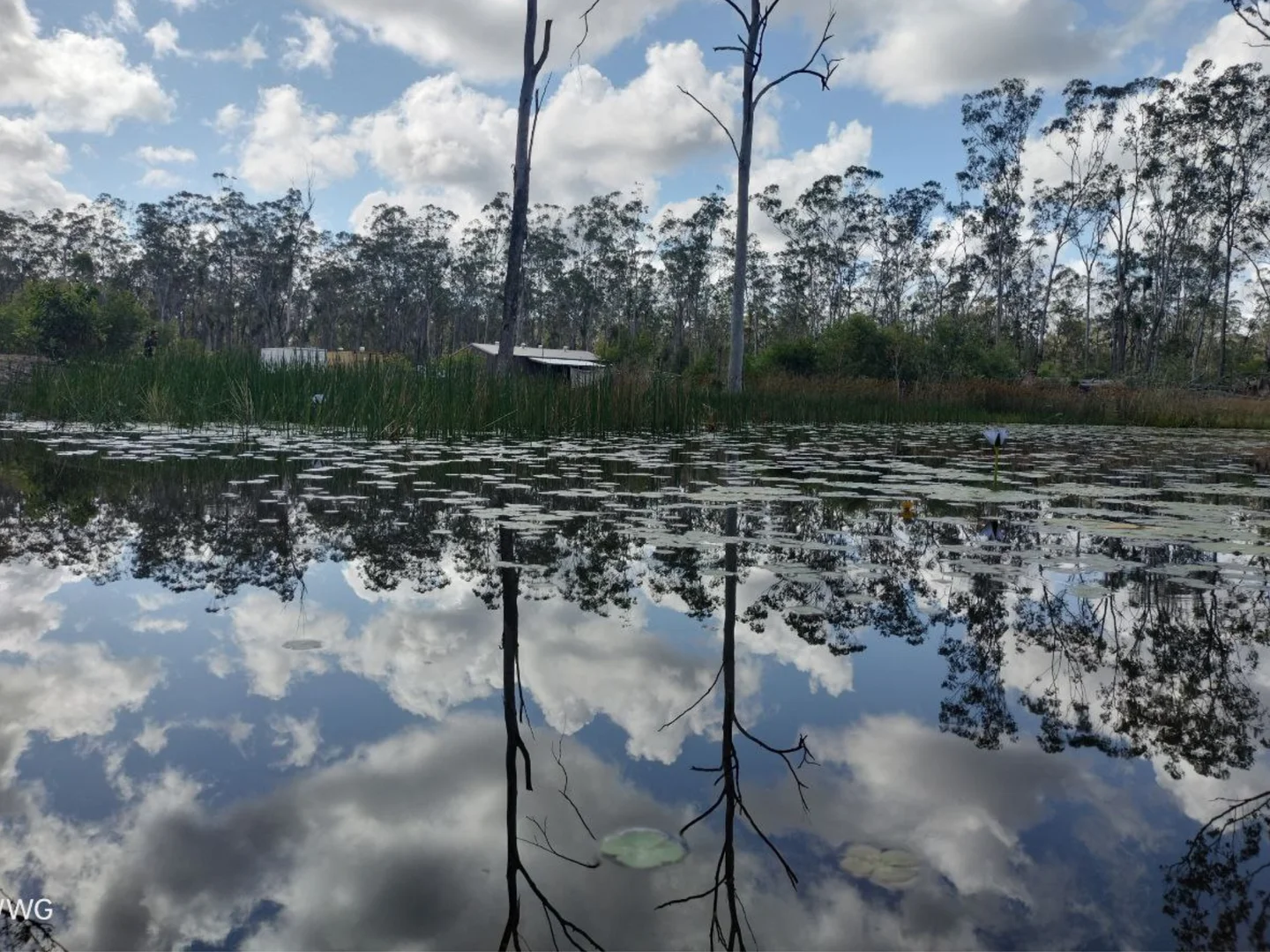 Additional image 13 of 54 Kassman Drive, Rosedale QLD 4674