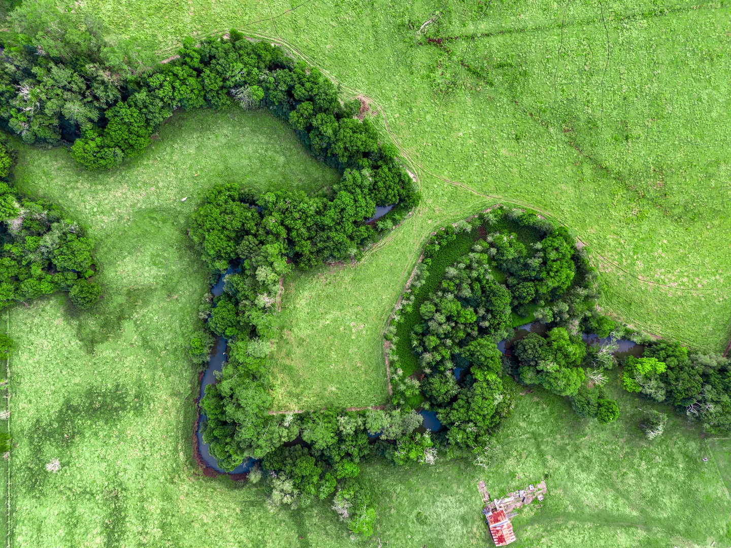 Additional image 46 of 1368 Wyrallah Road, Wyrallah NSW 2480