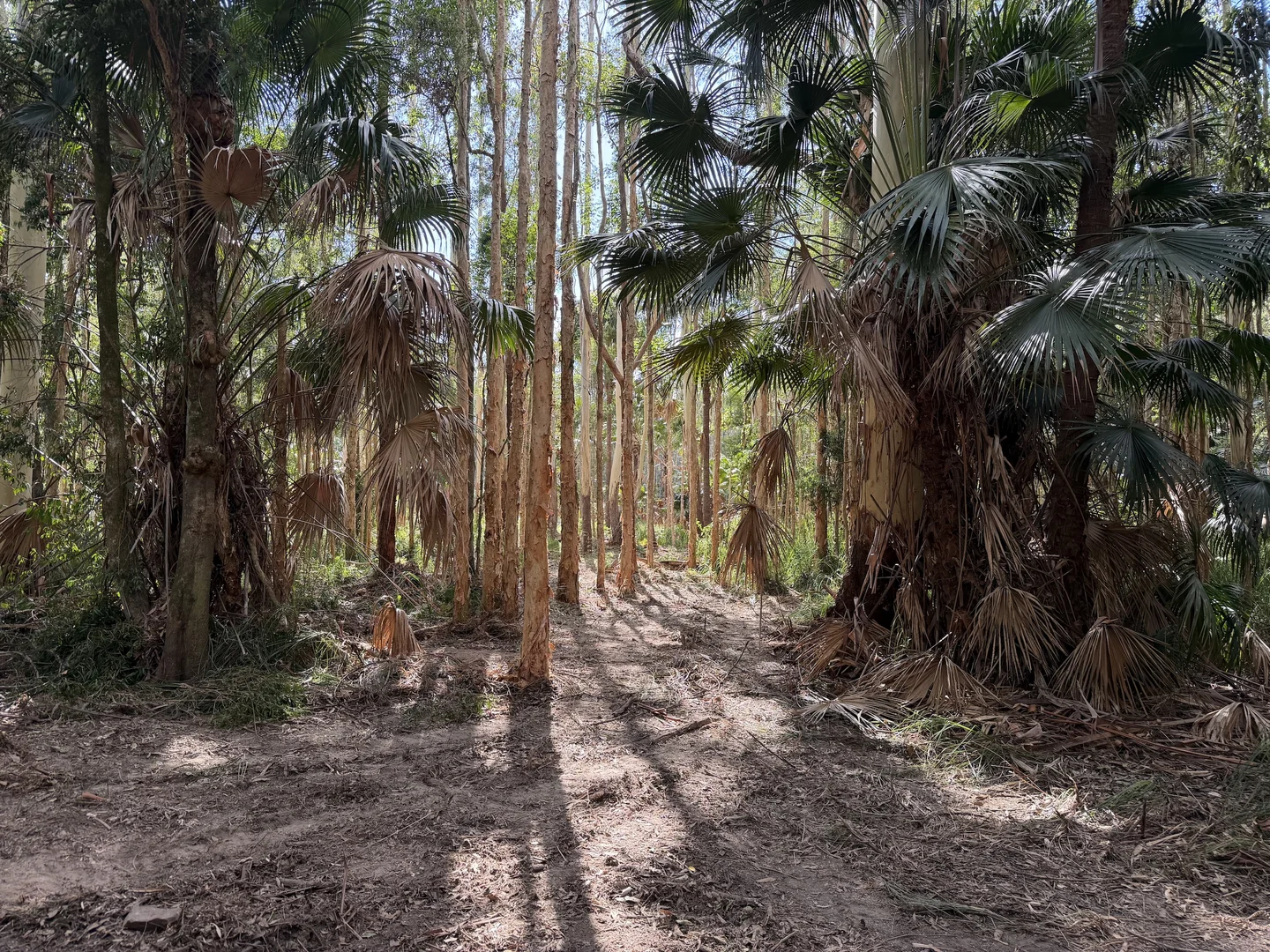 Additional image 8 of 6/750 Coomba Road, Whoota NSW 2428