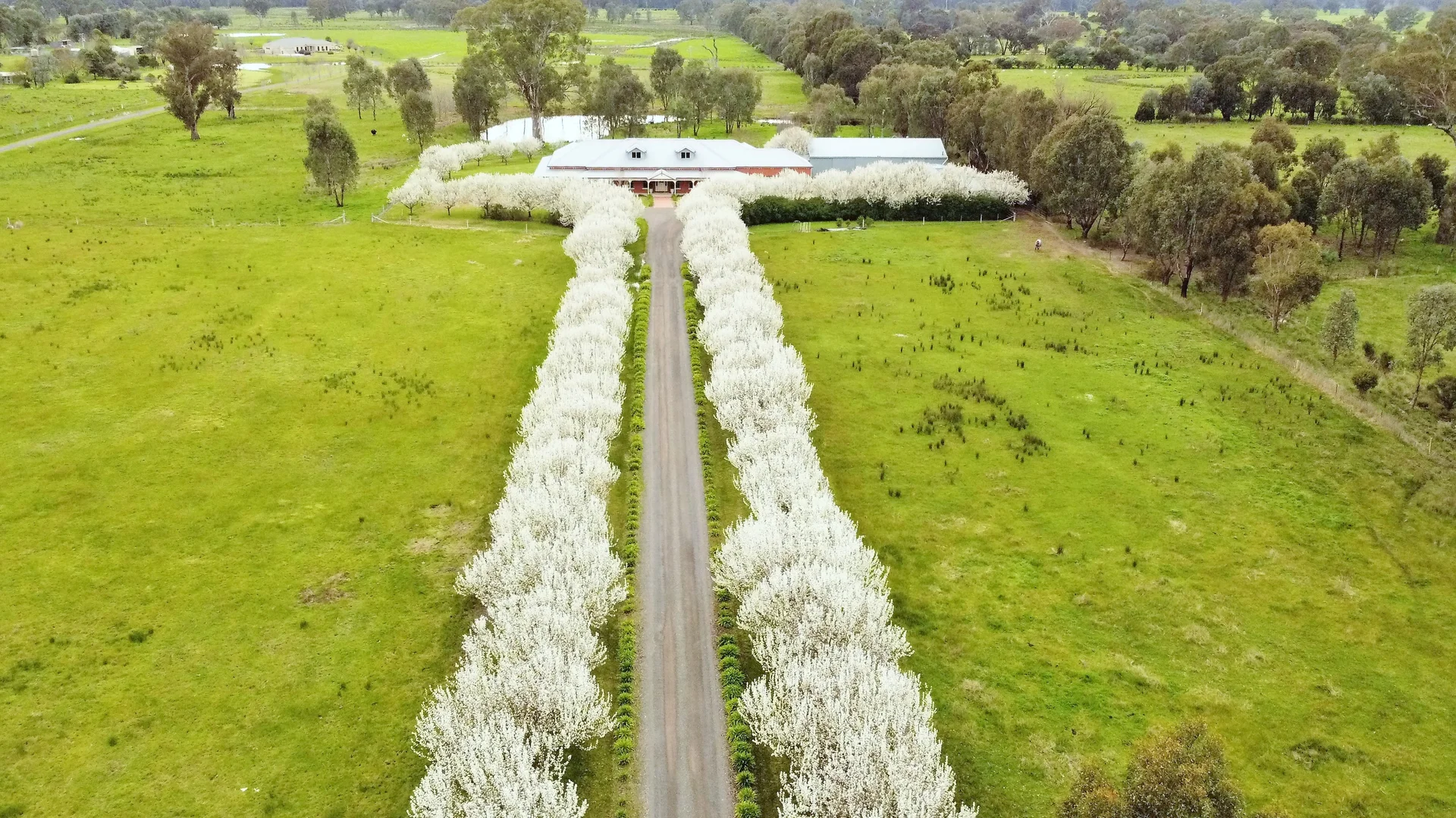 Additional image 43 of 785 Benalla-Tatong Road, Benalla VIC 3672