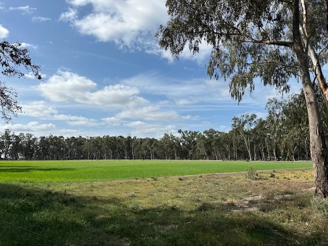 Additional image 3 of 456 RIVER ROAD, Gonn Crossing VIC 3579