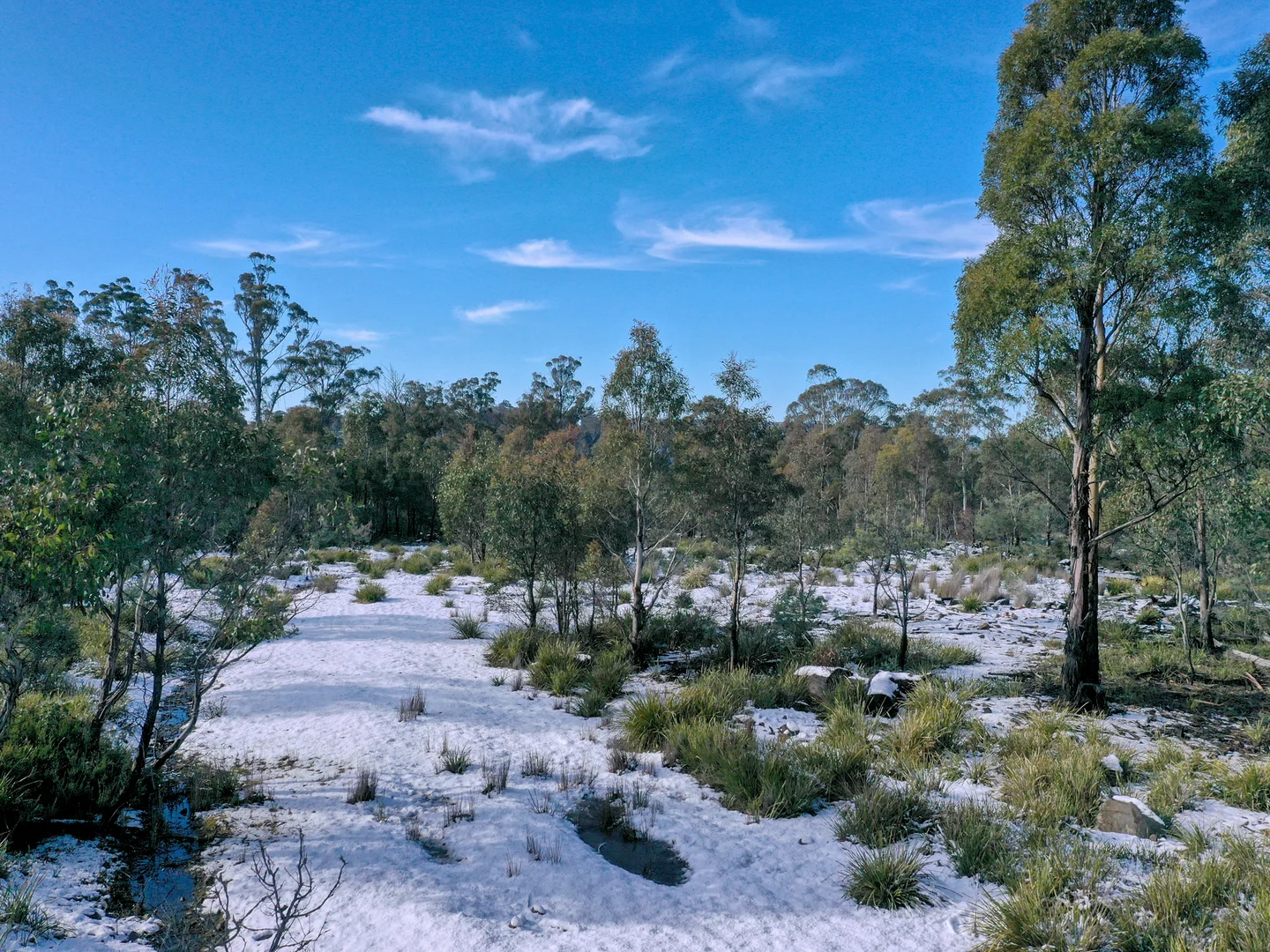 Additional image 22 of 172 Mcguires Marsh Road, Osterley TAS 7140