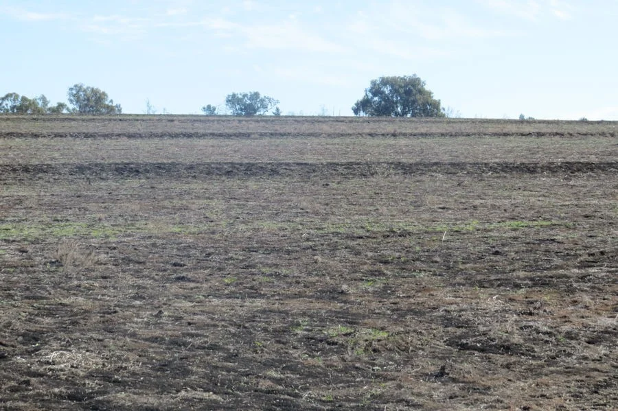 Additional image 5 of 329 Pickfords Road, Yetman NSW 2410