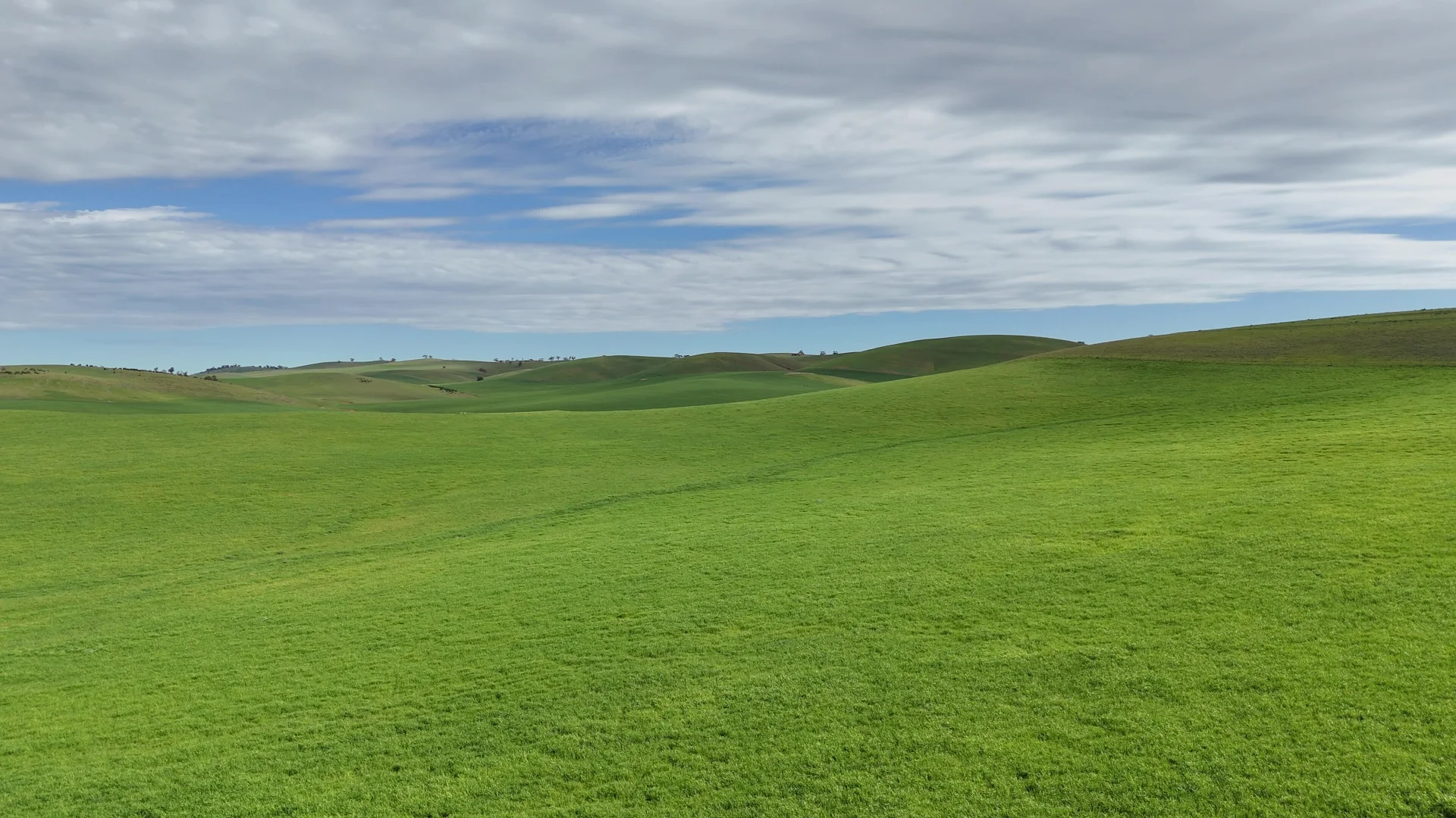 Additional image 12 of 'Broughton Valley' 1 Euromina Road, Broughton River Valley SA 5454