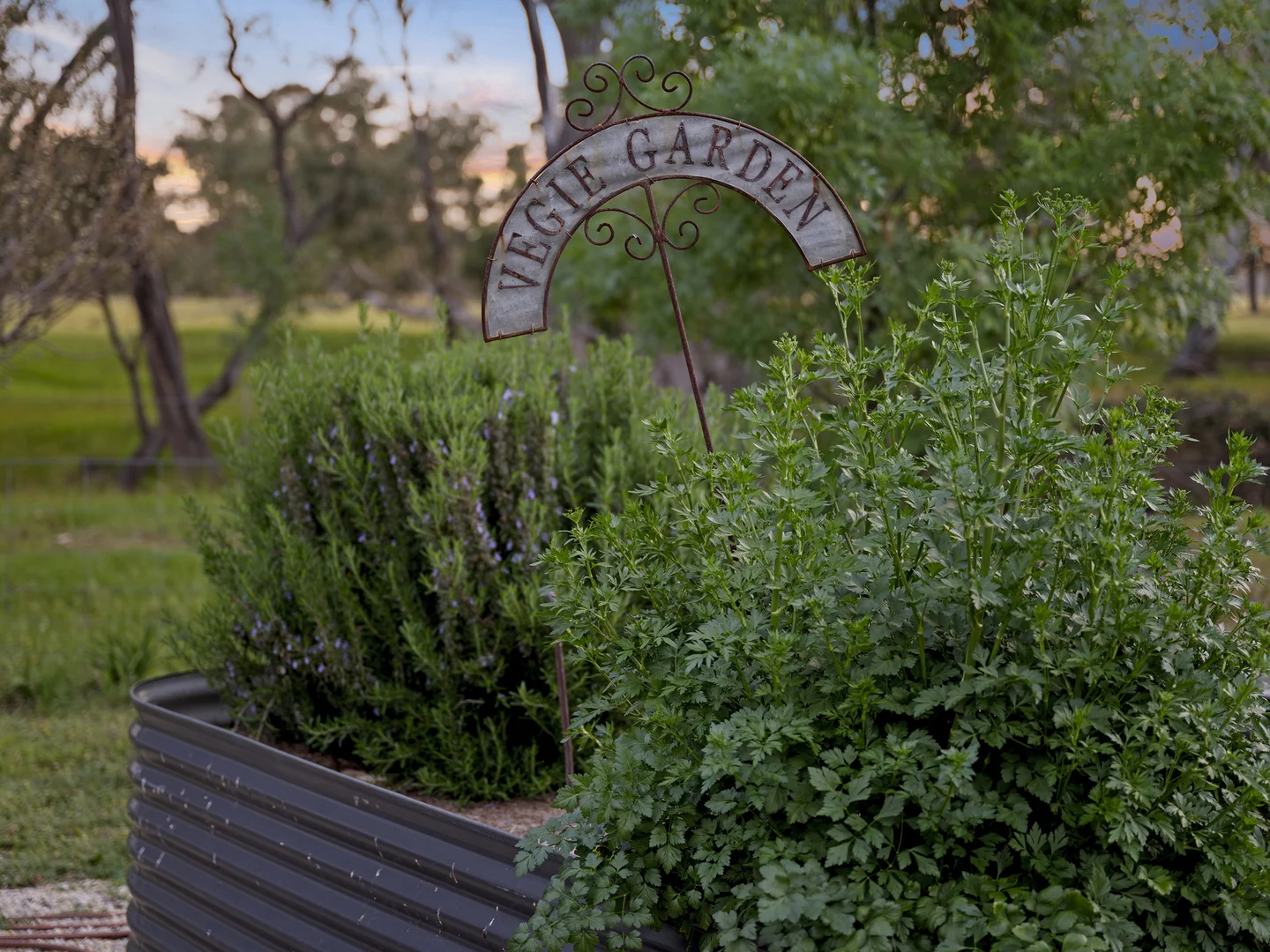 Additional image 19 of 197 Ryans Lane, Locksley VIC 3665