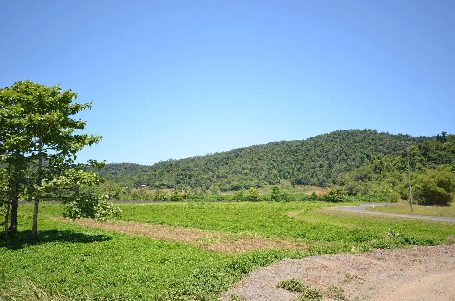 Additional image 9 of Lot 9&10 Kruckow Road, East Russell QLD 4861