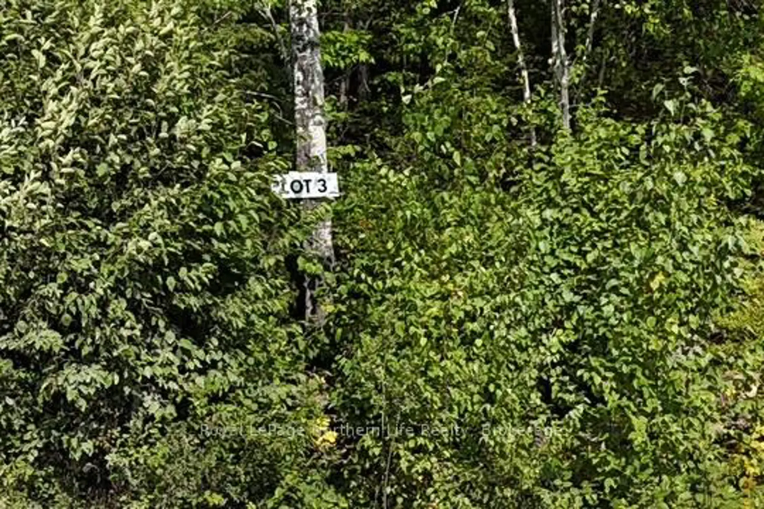 Additional image 2 of Lot 3 Fox Run Drive