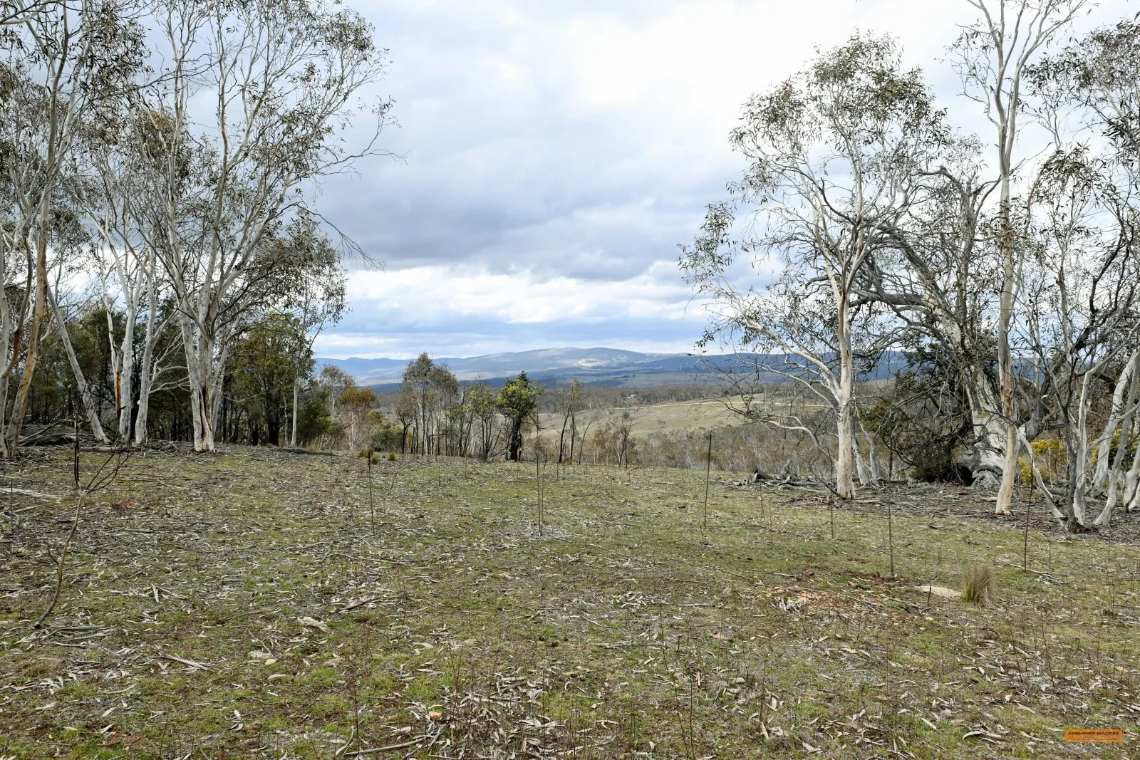 Additional image 35 of "Eagle Heights" 636 Caddigat Road, Dry Plain NSW 2630