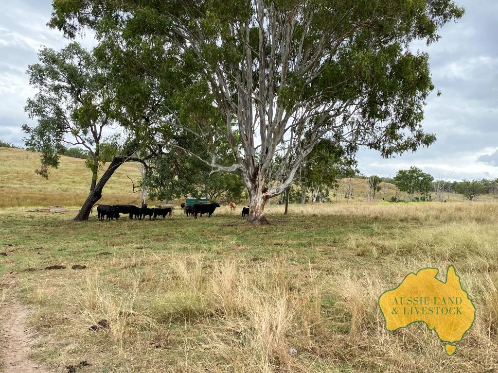 Additional image 27 of 59 MUNGY ROAD, Mungy QLD 4671