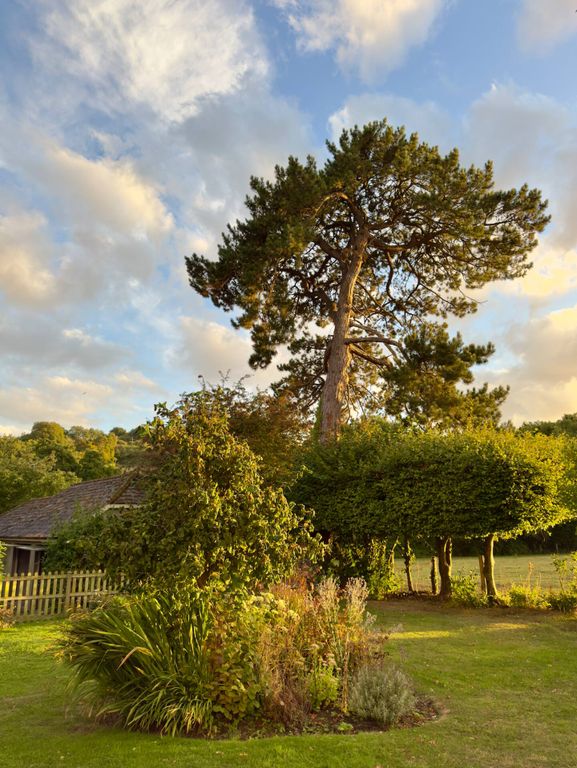 Additional image 13 of 3 bed farmhouse to rentHigh Street, Yeovil BA22