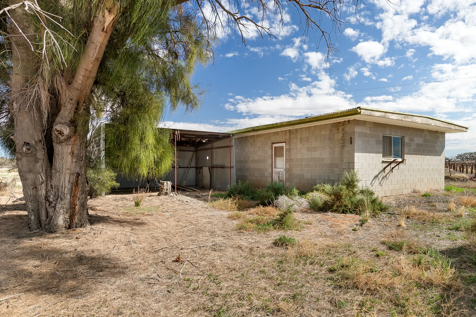 Additional image 24 of 41 Wutke Road, Cobdogla SA 5346