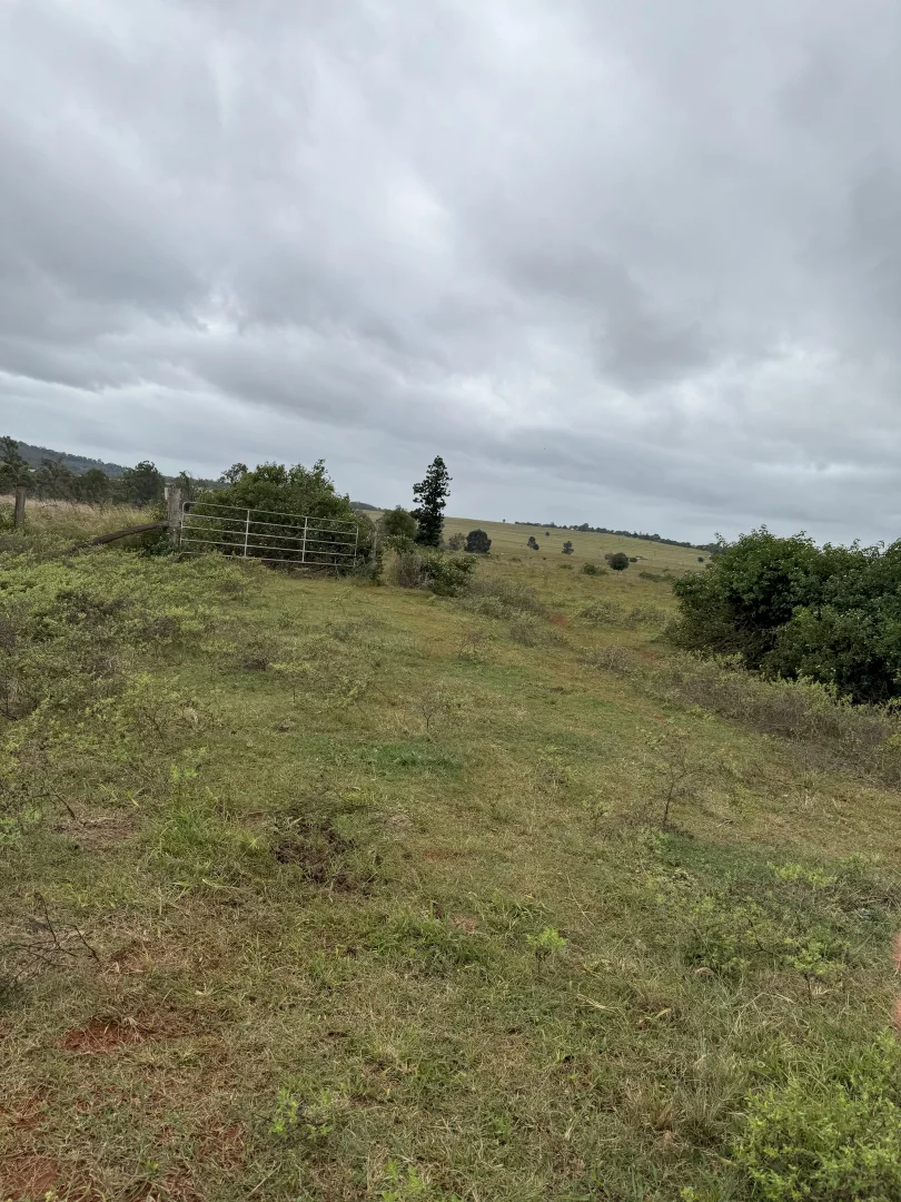 Additional image 7 of 34 Bellottis Road, Oakdale QLD 4605