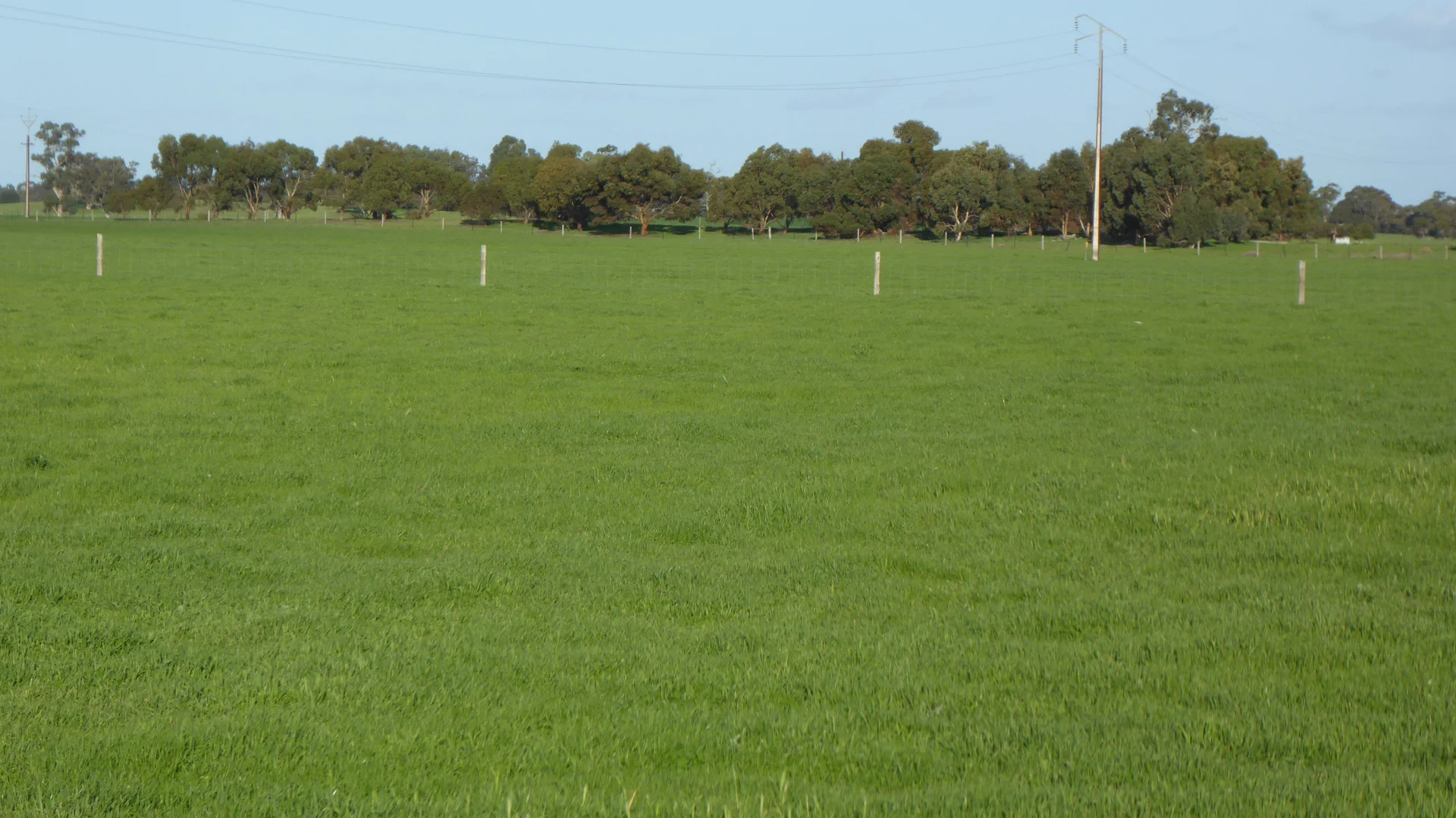 Additional image 14 of "Jacks" Sec 7 Schultz Road, Tintinara SA 5266