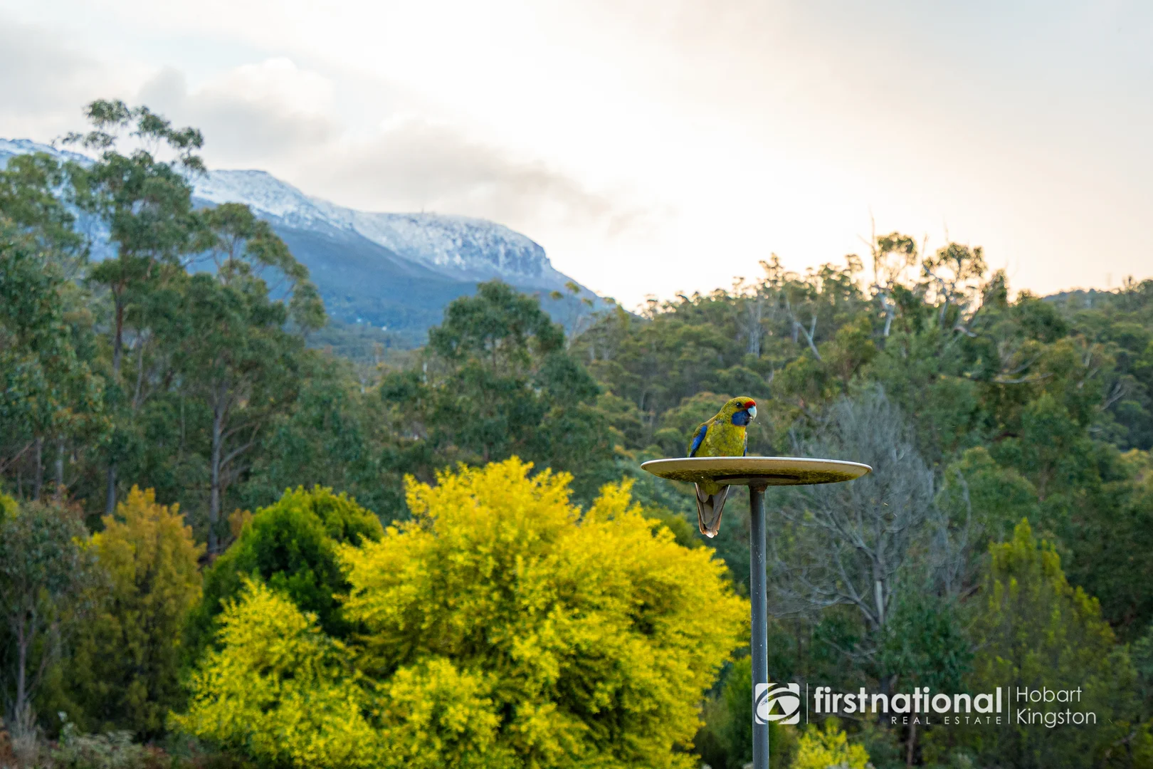 Additional image 34 of 60 Old Summerleas Road, Kingston TAS 7050