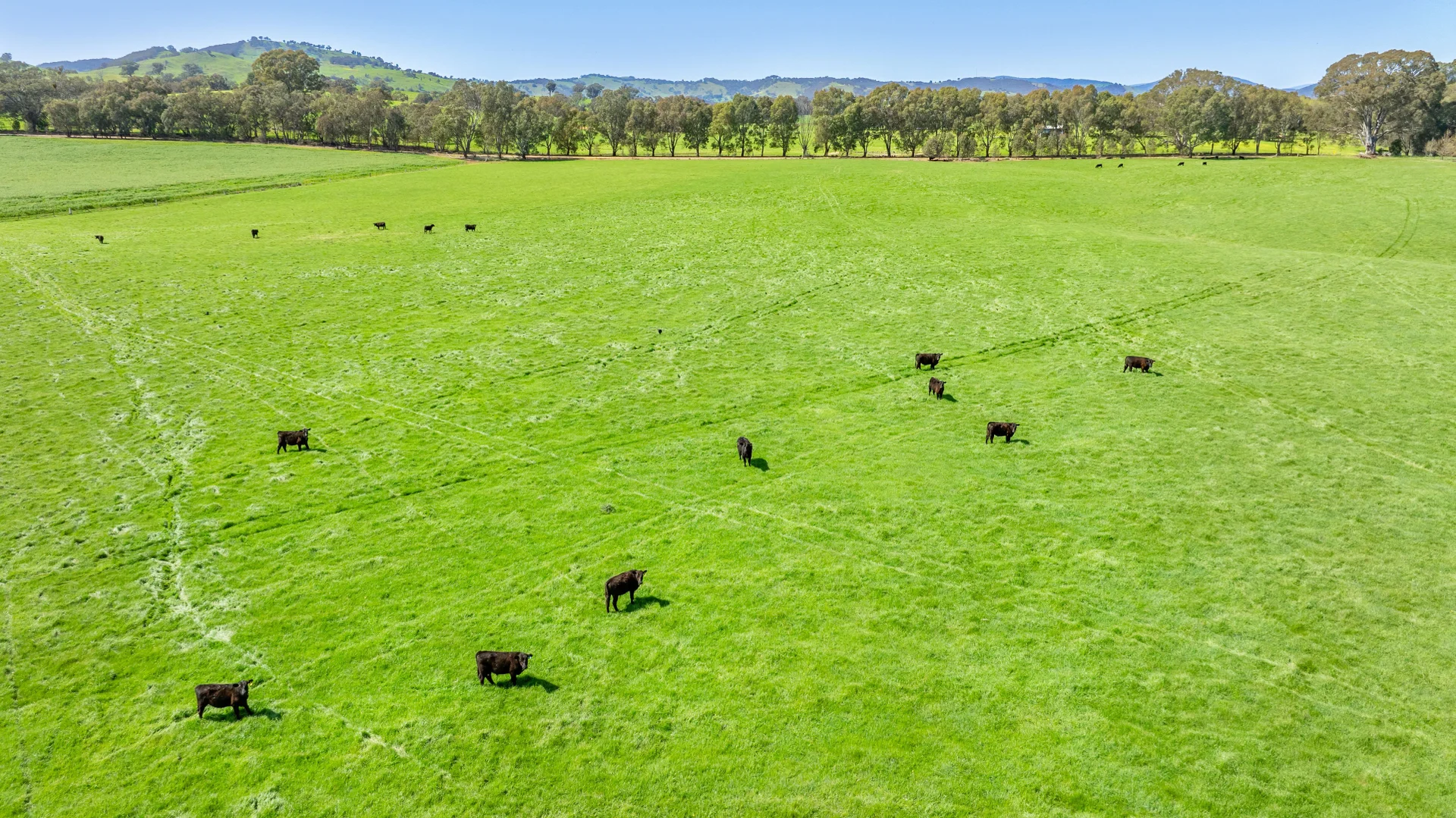 Additional image 26 of 336B Cookinburra Road, Indigo Valley VIC 3688