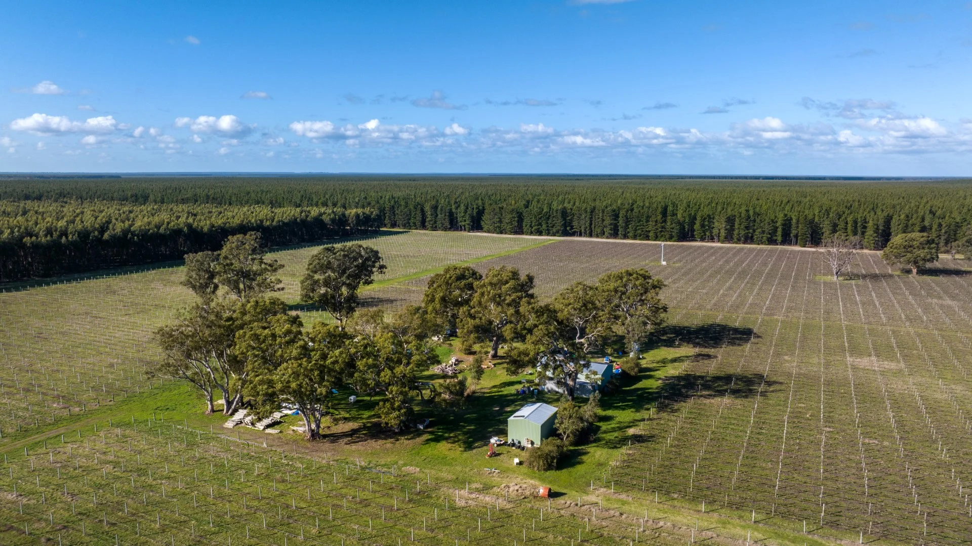 Additional image 12 of 719 Casterton Road, Penola SA 5277