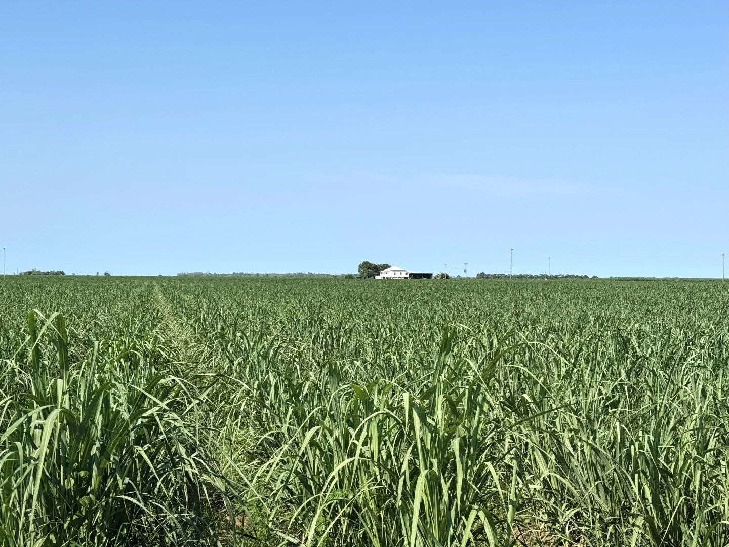 Additional image 4 of 121 Hobson Road, Jarvisfield QLD 4807