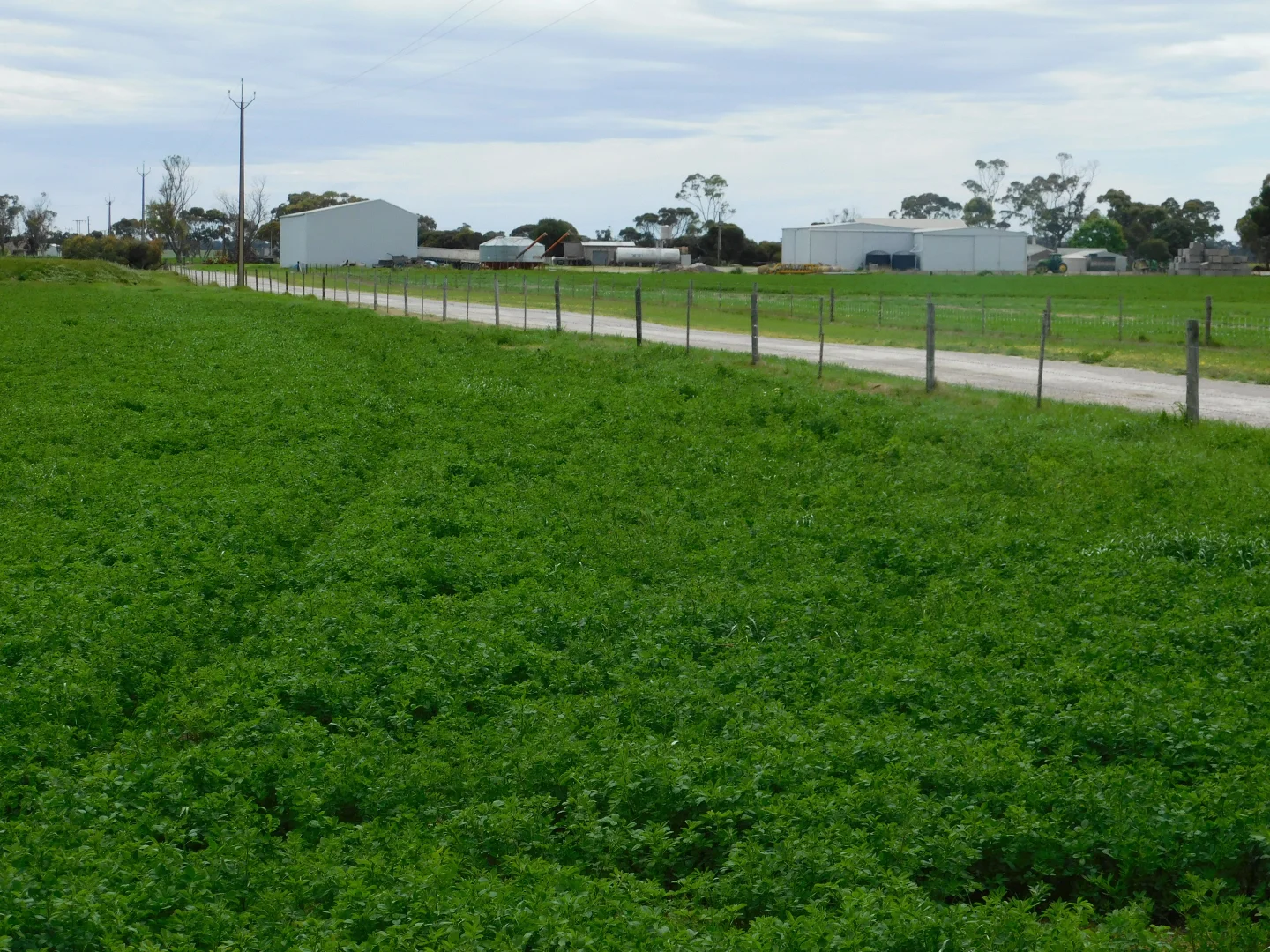 Additional image 8 of 16472 Dukes Hwy, Bordertown SA 5268