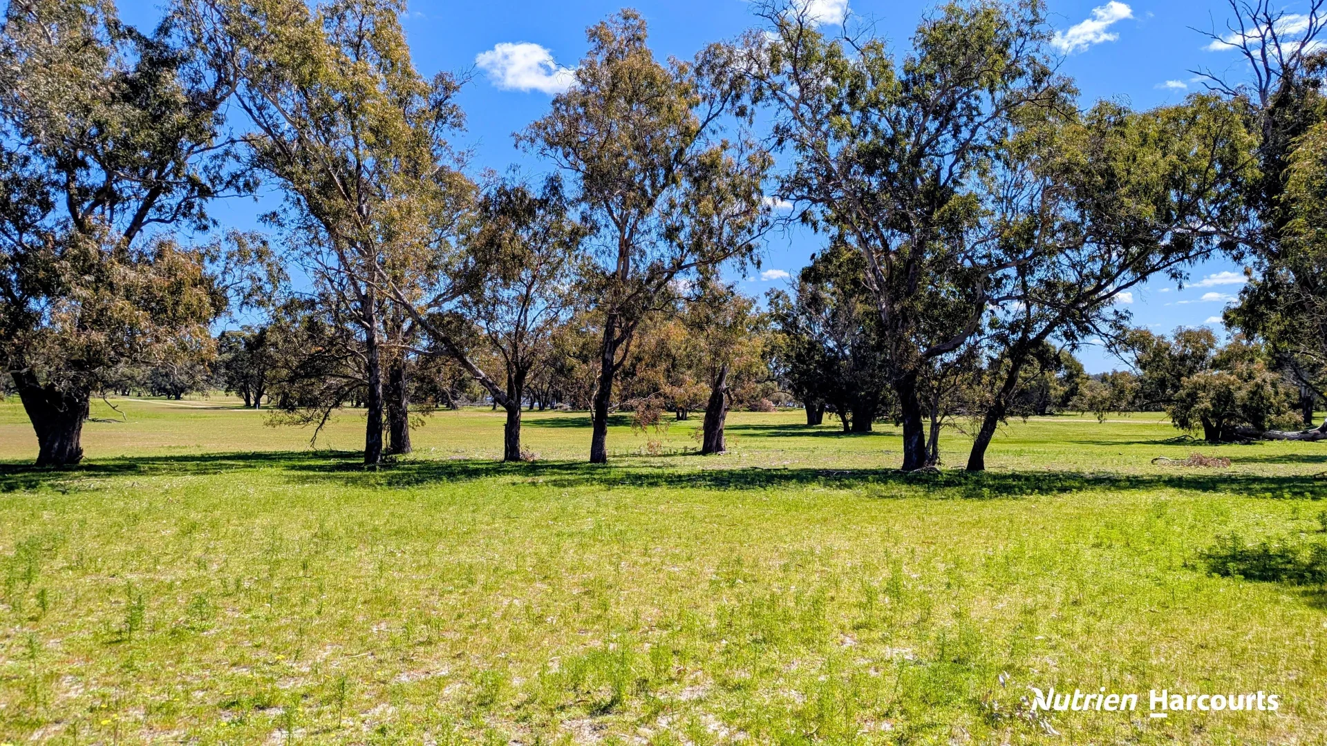 Additional image 16 of Lot 53 Cowalla Road, Cowalla WA 6503