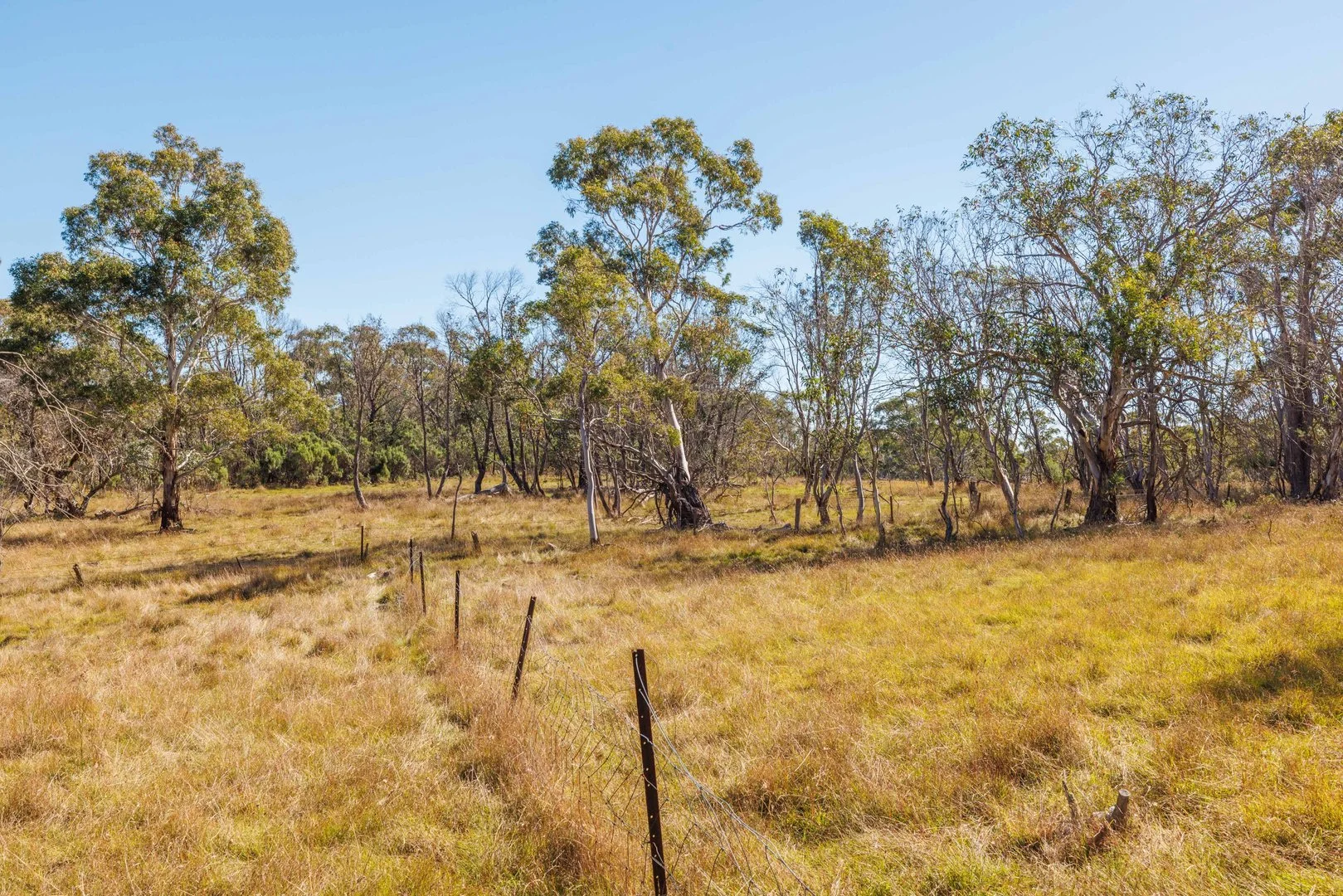 Additional image 24 of 91 Rosehill Road, Bombala NSW 2632